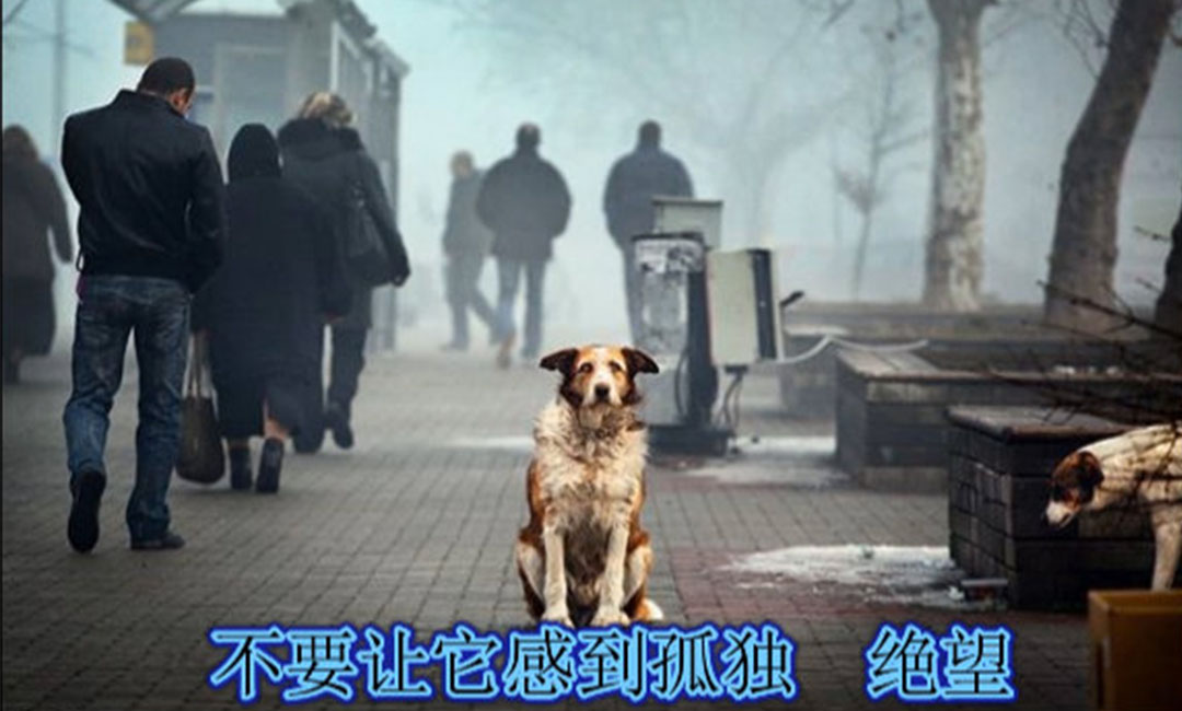 昆明昆明爱影圈微博微信转发案例